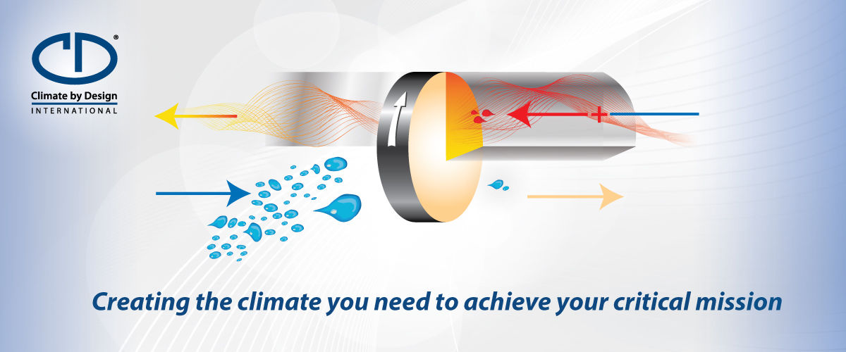 Climate by Design International